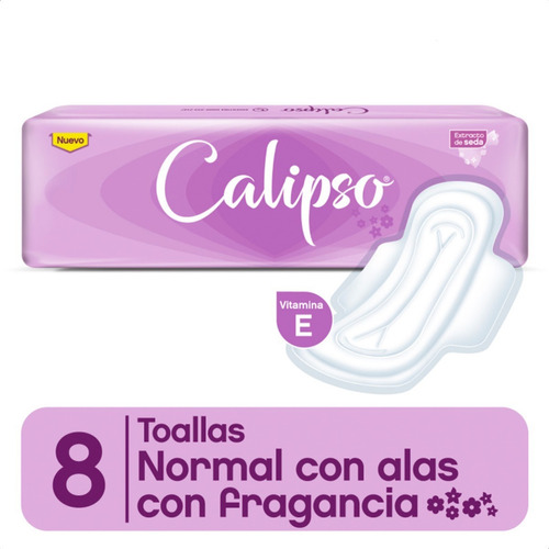 BUDIN PUDDING CHOCOLATE C/CHIPS 300GR